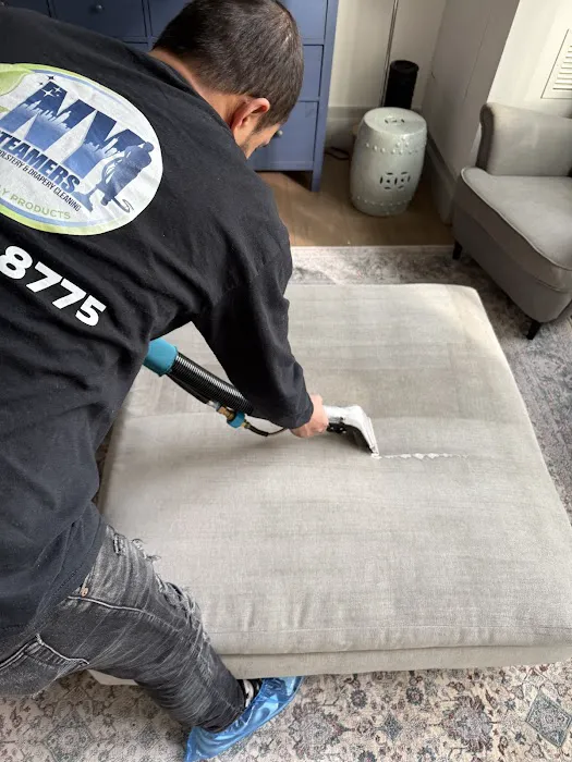 NY STEAMERS Picture 3