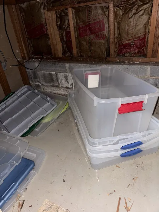 Indoor Mold Specialist Picture 5