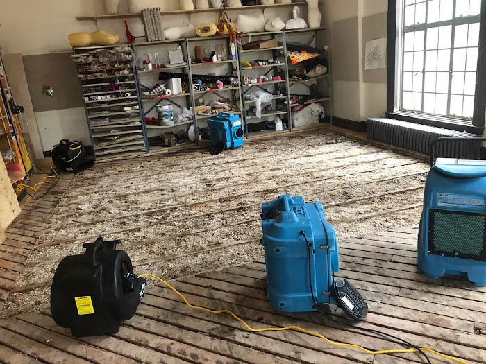 Indoor Mold Specialist Picture 8