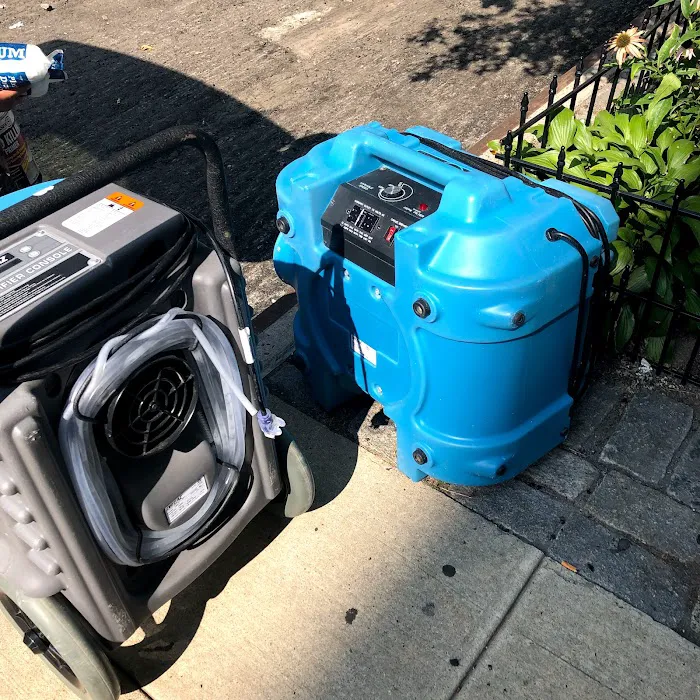 Indoor Mold Specialist Picture 4