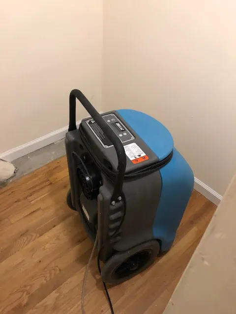 Indoor Mold Specialist Picture 1