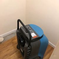 Indoor Mold Specialist ico