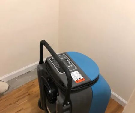 Indoor Mold Specialist