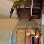 SERVPRO of Eatontown / Long Branch