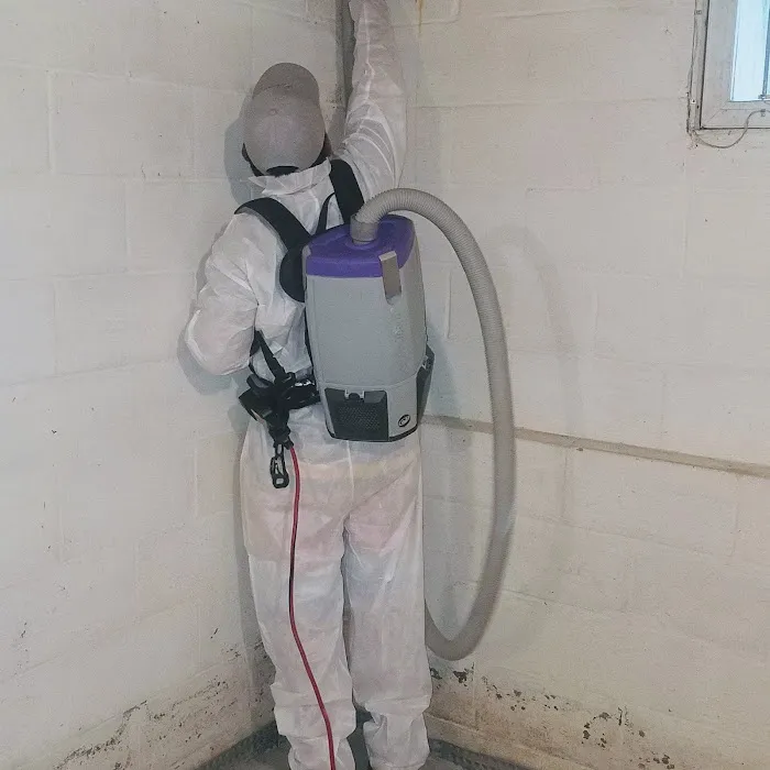 United Marvel Restoration Picture 9