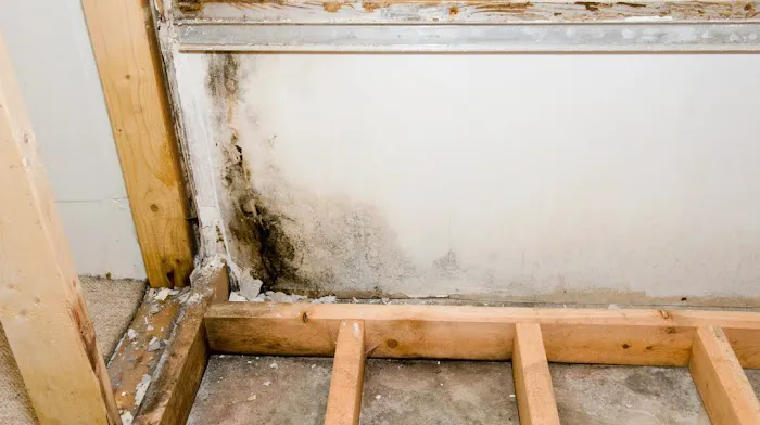 2 River Group Picture 5