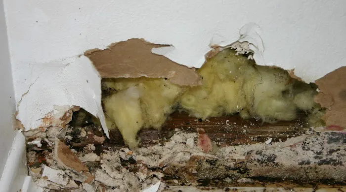 2 River Group Picture 9