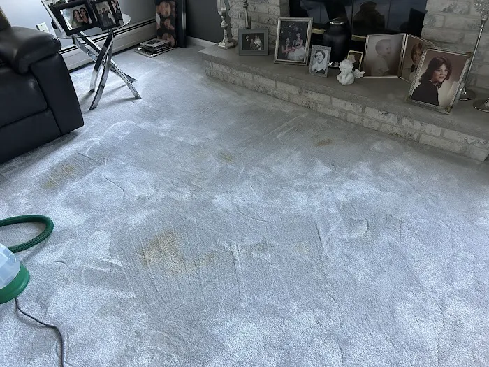 Stanley Steemer Picture 1