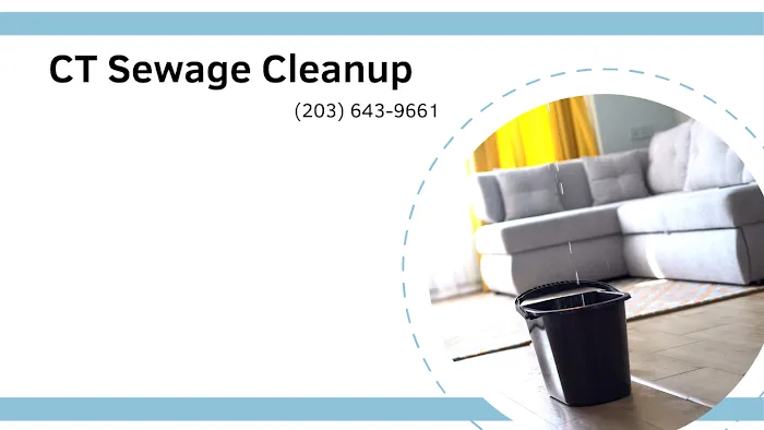 CT Sewage Cleanup Picture 1