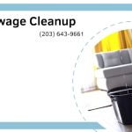 CT Sewage Cleanup