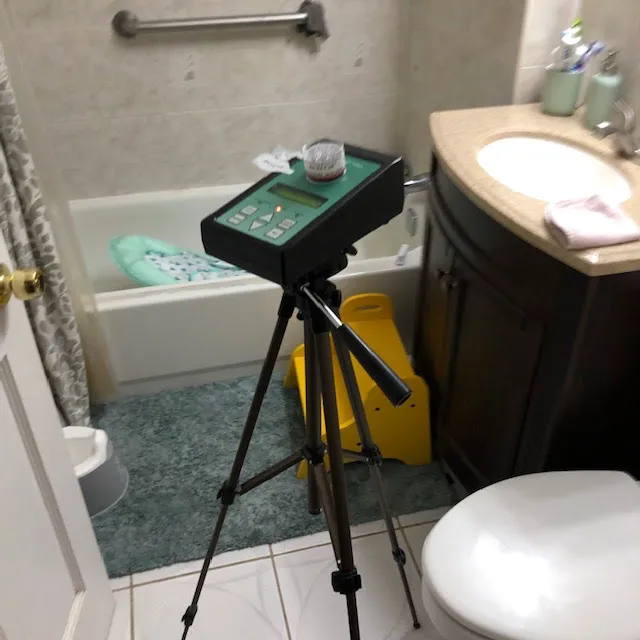 Mold Inspection & Removal Picture 1