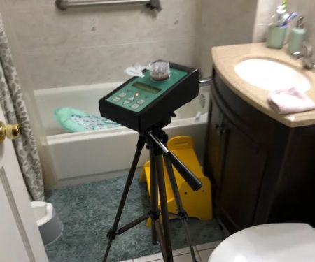 Mold Inspection & Removal