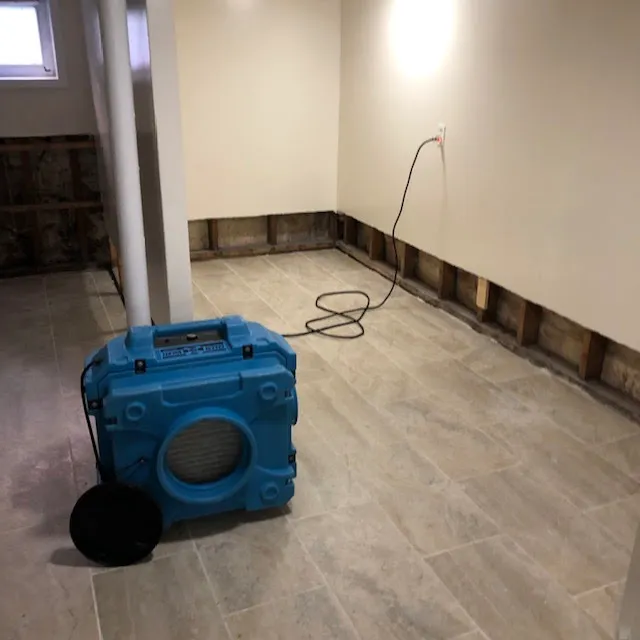 Mold Inspection & Removal Picture 5