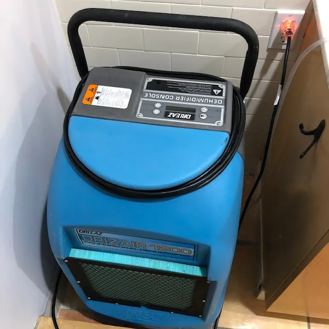 Mold Inspection & Removal Picture 3