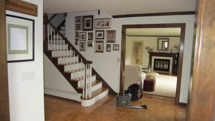 Mold Inspection & Removal Picture 8