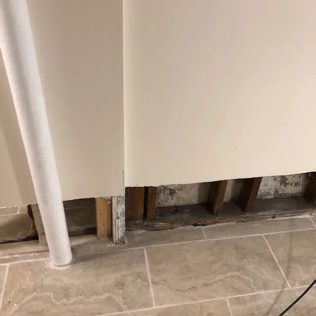 Mold Inspection & Removal Picture 2