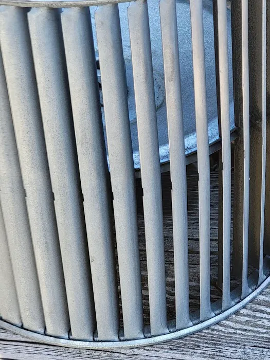 Mold Air Care Picture 2