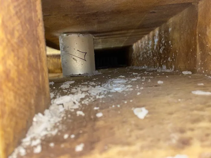 Mold Air Care Picture 1