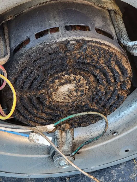 Mold Air Care Picture 4