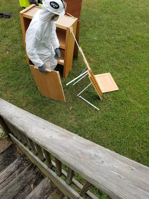 Mold Air Care Picture 3