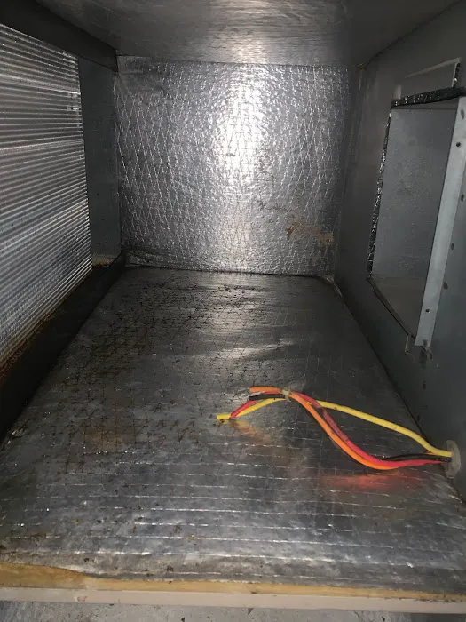 Mold Air Care Picture 7