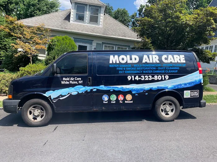 Mold Air Care Picture 9