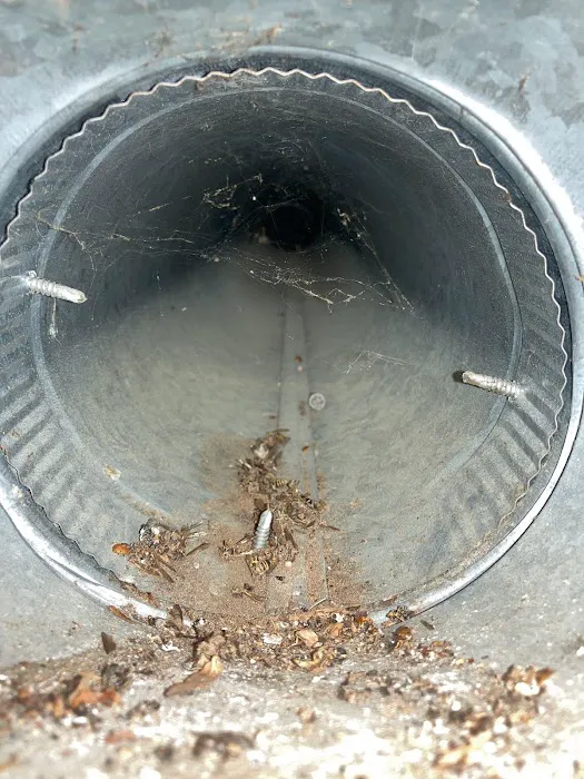 Mold Air Care Picture 5