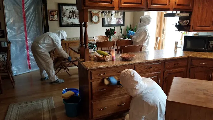 Mold Air Care Picture 8