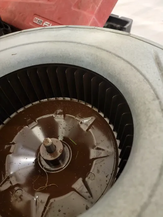 Mold Air Care Picture 6