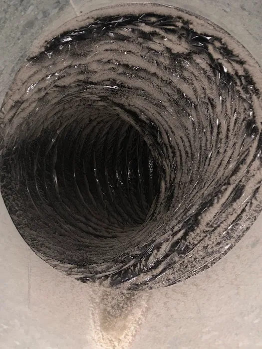 Mold Air Care Picture 10