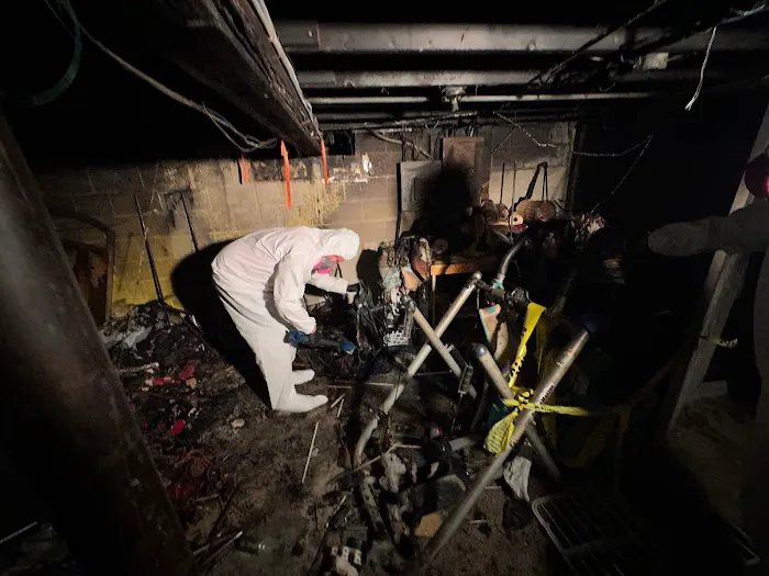 KPM Restoration Albany Picture 4