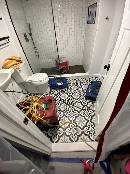 KPM Restoration Albany Picture 3