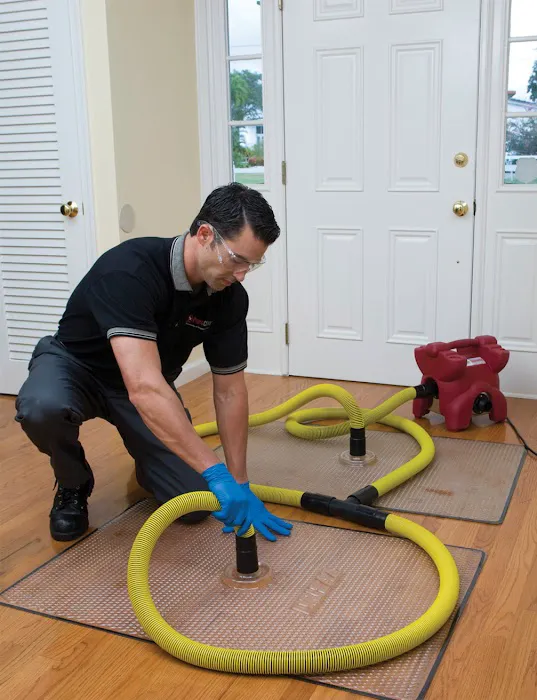 PuroClean Restoration Specialists Picture 8