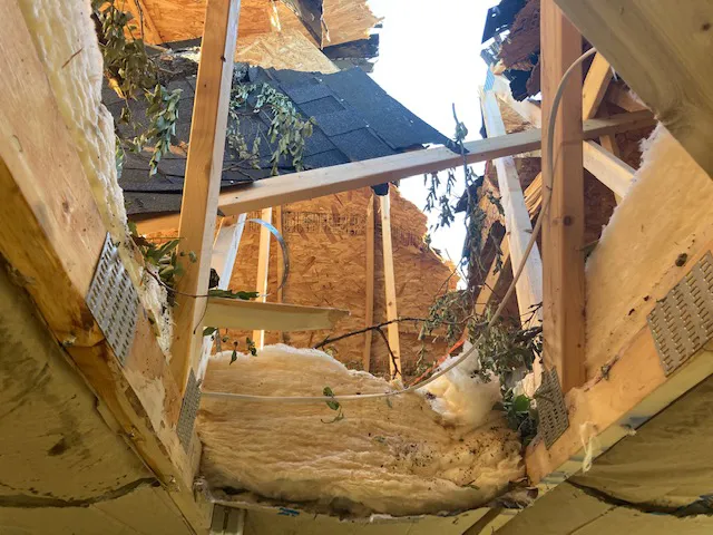 CleanBright Surface Picture 7