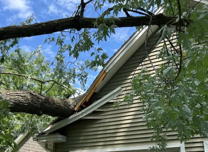 Accurate water & fire restoration Picture 1