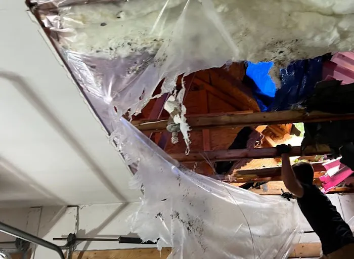 Accurate water & fire restoration Picture 2