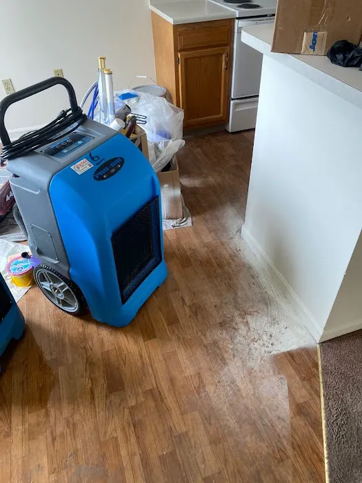 KPM Restoration Picture 1