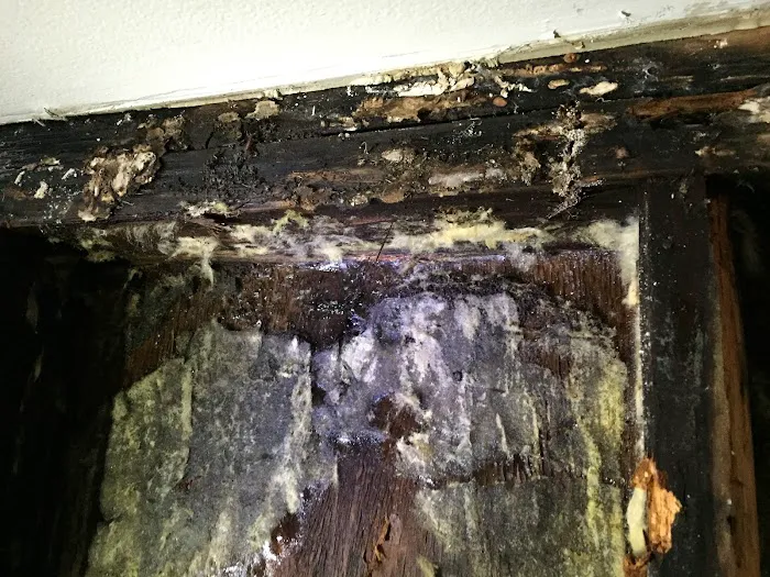 Riverside Inc. Picture 8