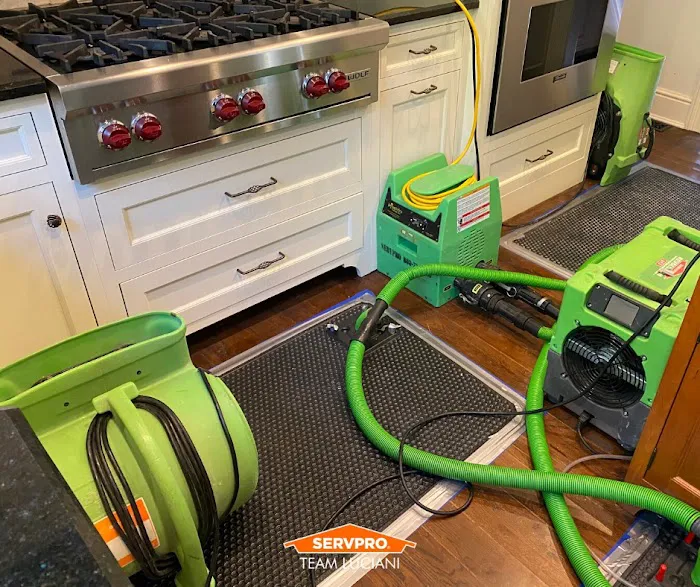 SERVPRO of Westport / Fairfield Picture 7