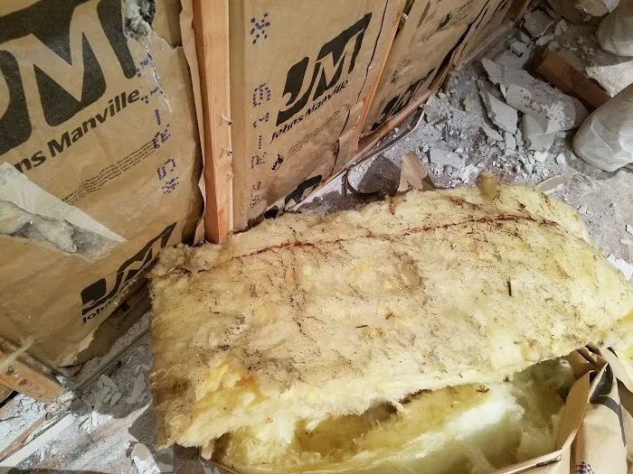 Reborn Restoration LLC Picture 10