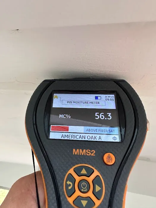 Reborn Restoration LLC Picture 6