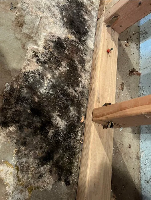 New England Restoration LLC Picture 2