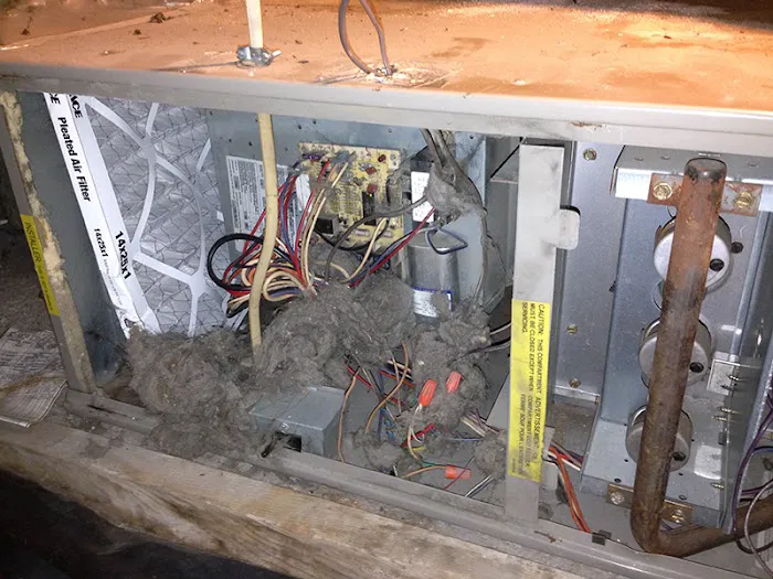 New England Restoration LLC Picture 9