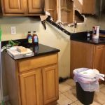 SERVPRO of Waterbury