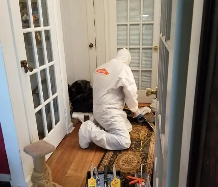 SERVPRO of Milford-Orange-Stratford Picture 3