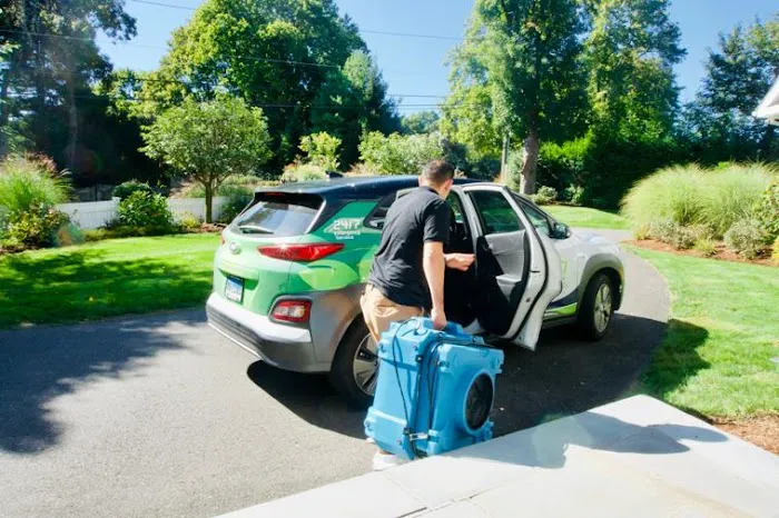 Green Restoration of Orange Picture 4