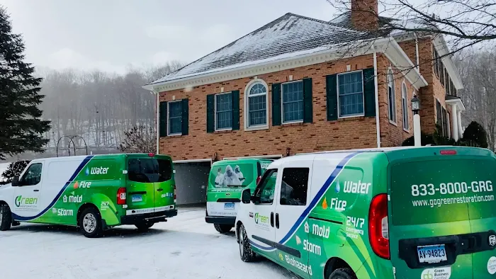 Green Restoration of Orange Picture 5