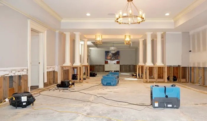 Green Restoration of Orange Picture 2