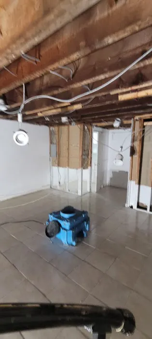 Astoria Mold removal & Water damage repair Picture 3