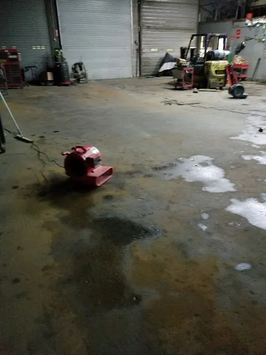 Astoria Mold removal & Water damage repair Picture 7